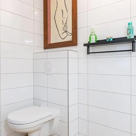 Appartement Magnifique 2 Pièces, équipé, Terrasse Privée Colmar