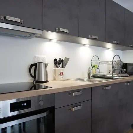 Magnifique 2 Pieces, Equipe, Terrasse Privee * Colmar