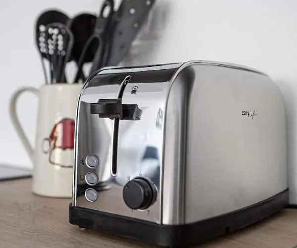 Daire Magnifique 2 Pieces, Equipe, Terrasse Privee Colmar