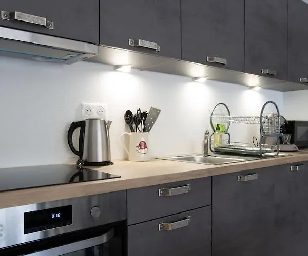 Magnifique 2 Pieces, Equipe, Terrasse Privee * Colmar