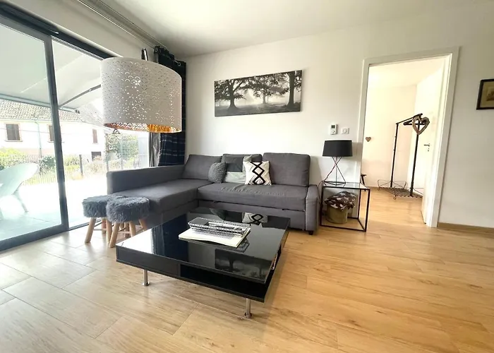 Daire Magnifique 2 Pieces, Equipe, Terrasse Privee Colmar