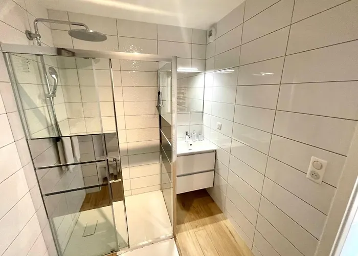 Daire Magnifique 2 Pieces, Equipe, Terrasse Privee Colmar